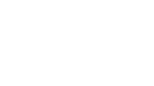 UofSC Alumni Association