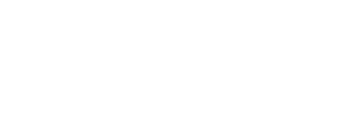 Laerdal Medical Healthcare Products & Programs