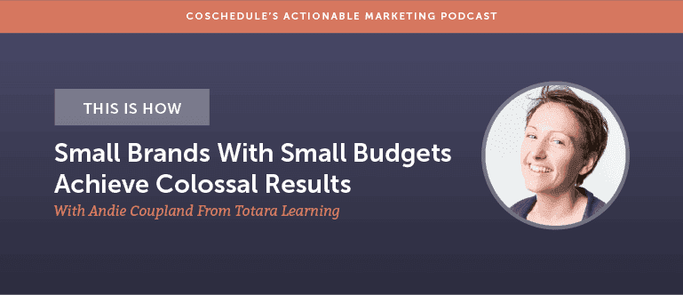 Cover Image for This Is How Small Brands With Small Budgets Achieve Colossal Results With Andie Coupland From Totara Learning [AMP 146]