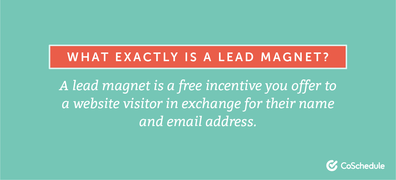 Definition of a lead magnet