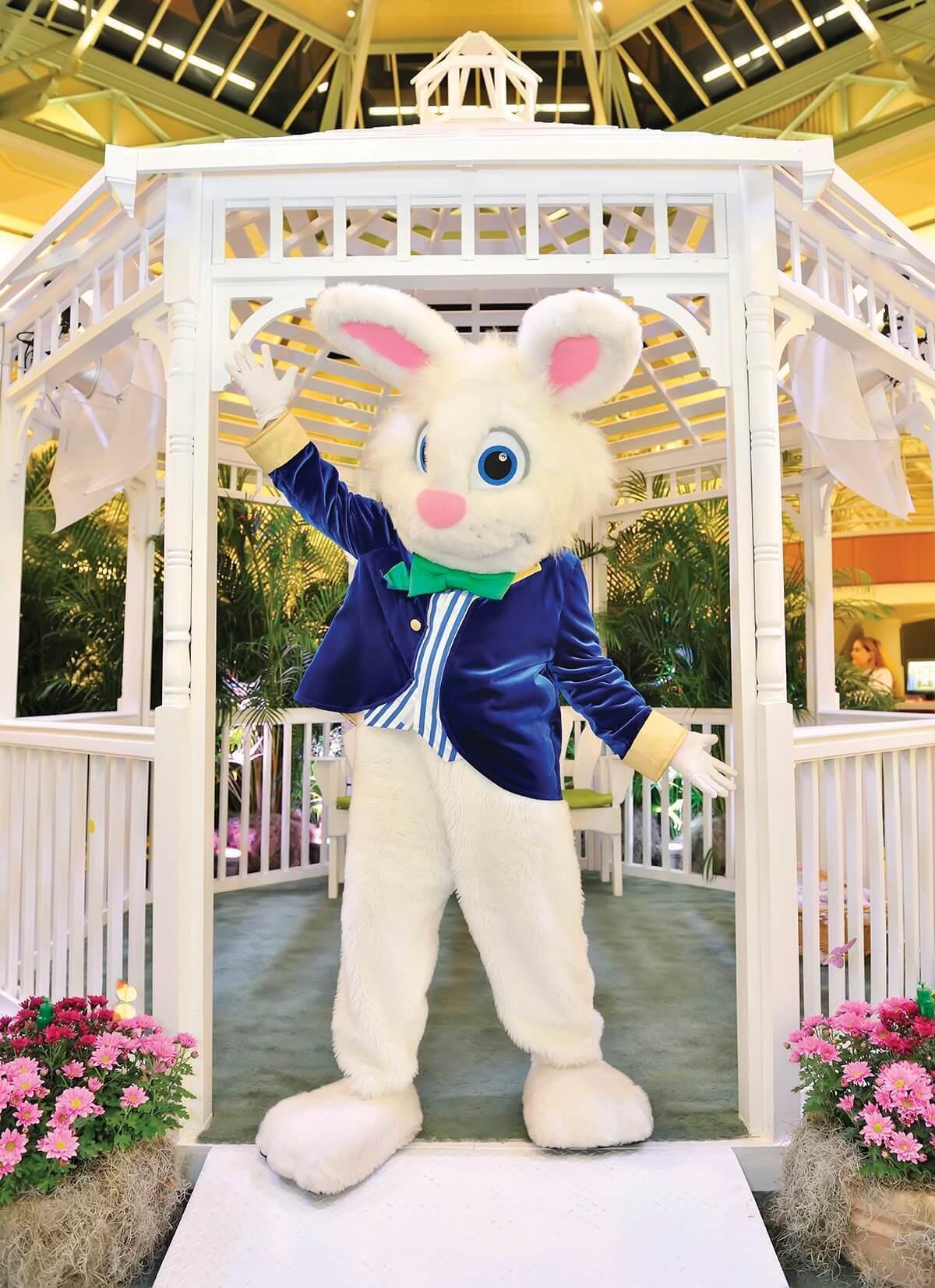 An Easter bunny ready to take pictures with families in a mall.