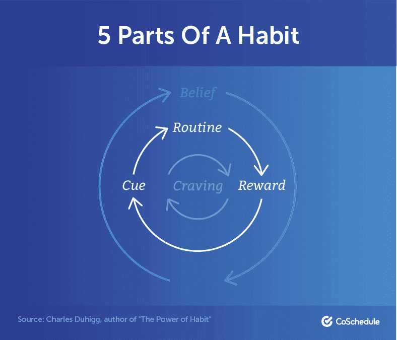 5 Parts of a Habit