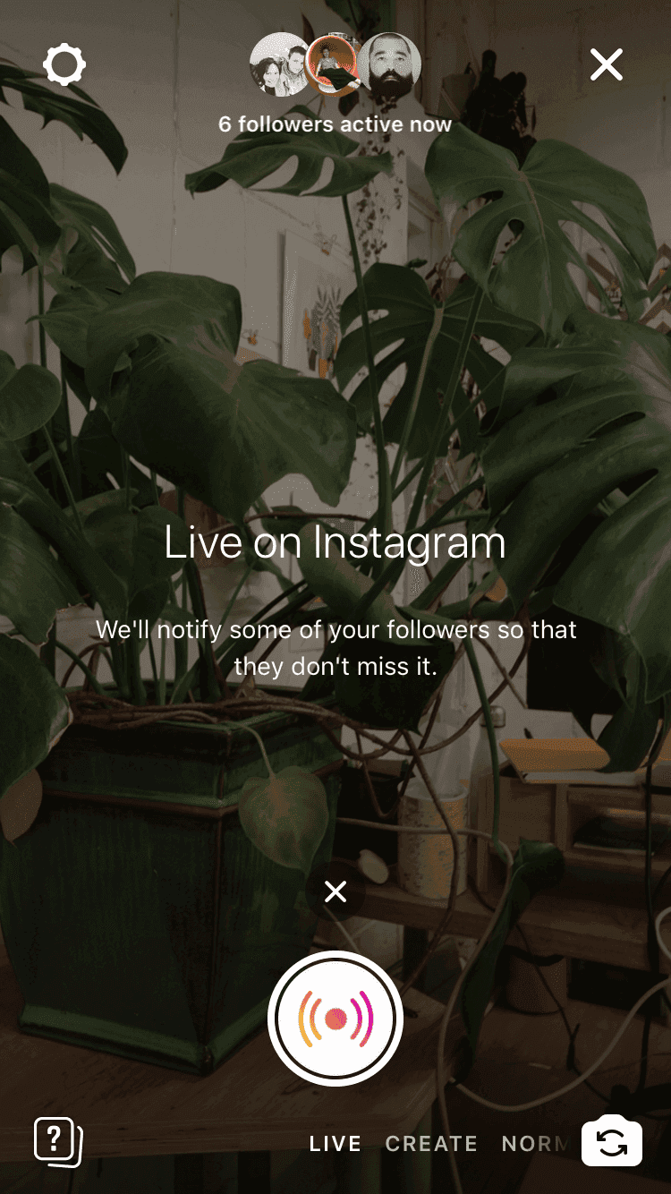 Go live on Instagram