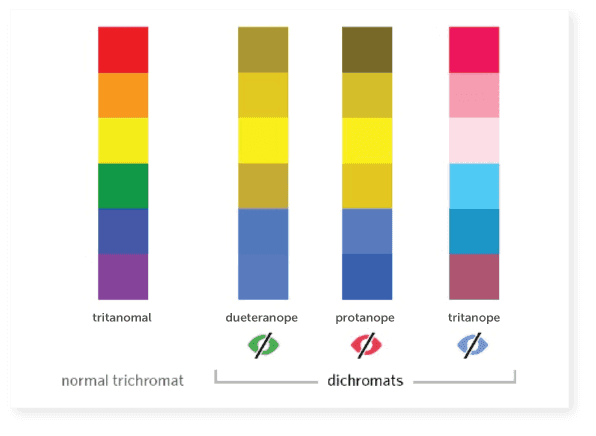 Chart showing various types of color blindness.