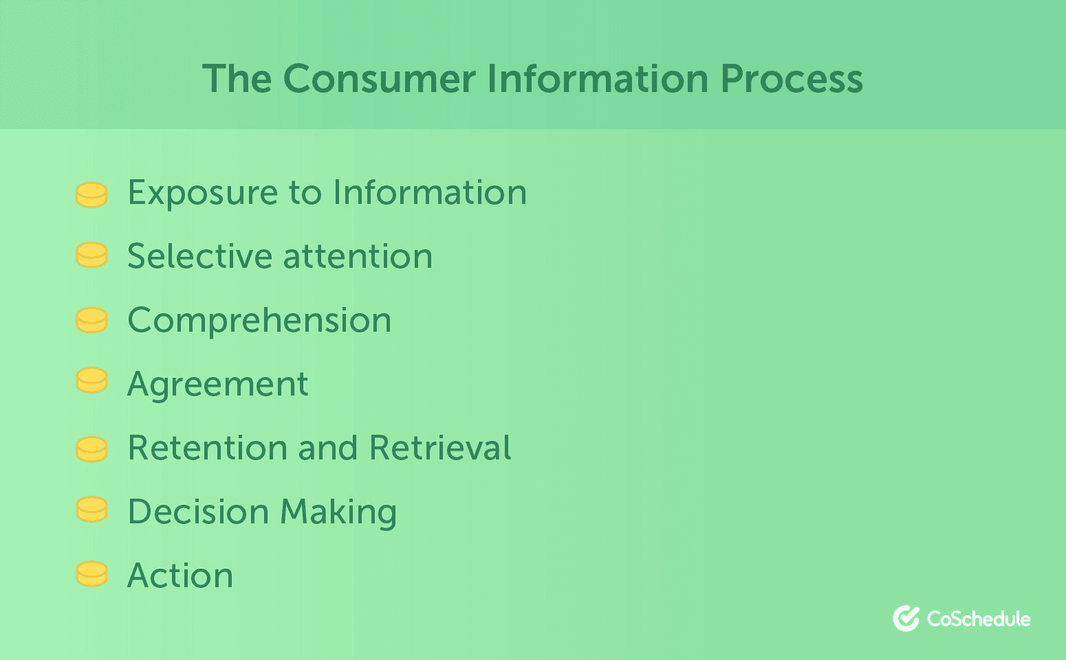 The Consumer Information Process