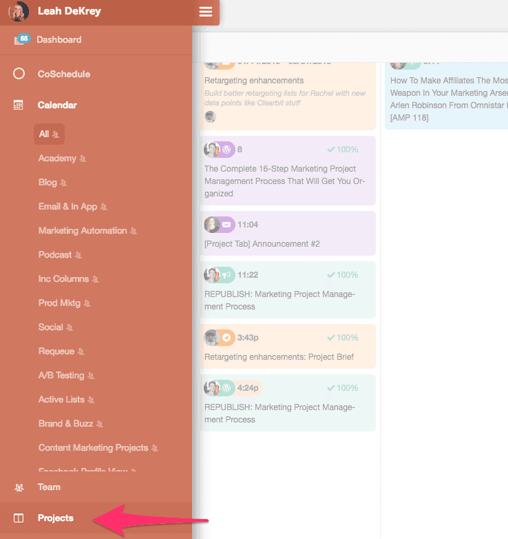 CoSchedule Project View