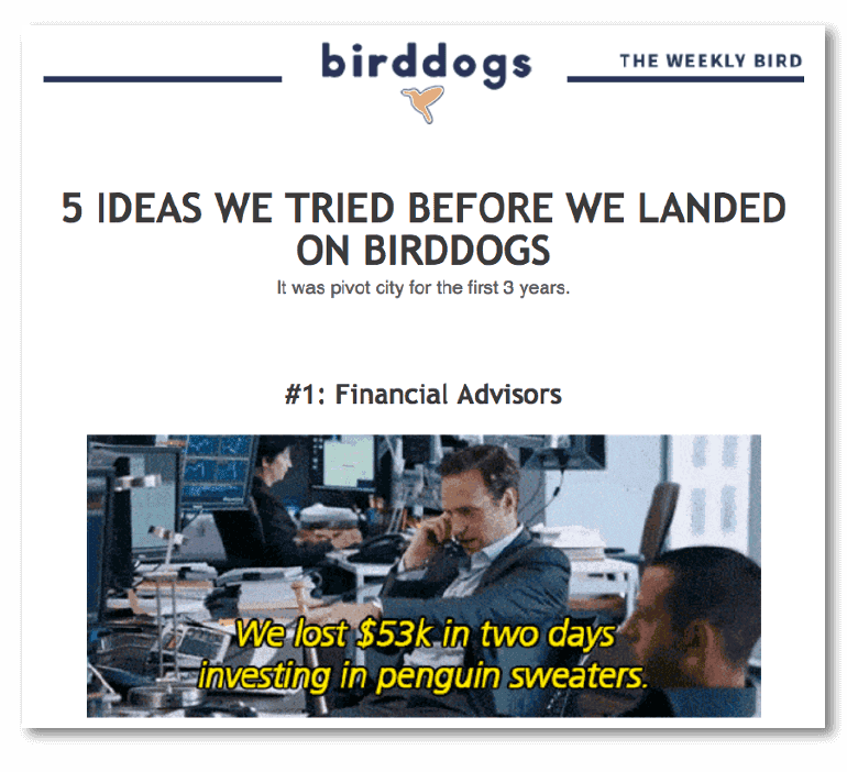 Creative email headline example from Bird Dogs
