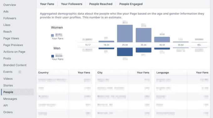 Demographic data in Facebook Insights