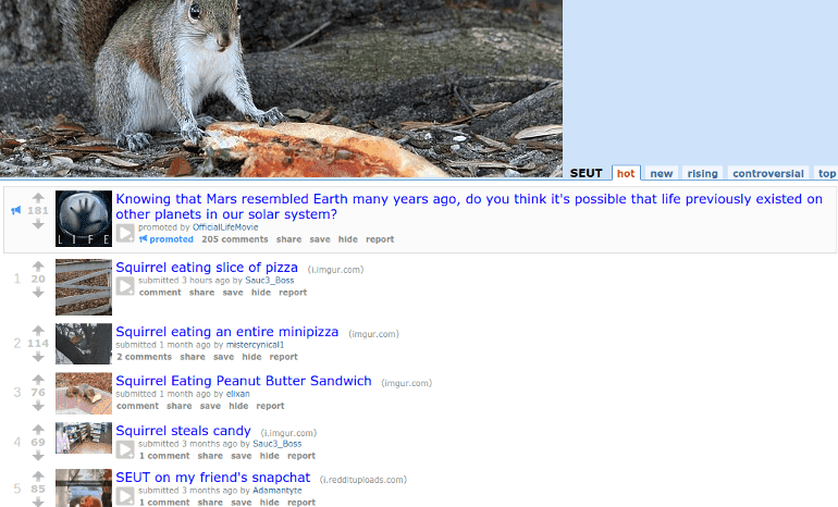 Pizza squirrel thread on Reddit