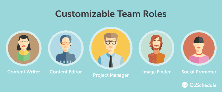 WordPress VIP customizable team roles